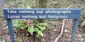 take nothing leave nothing